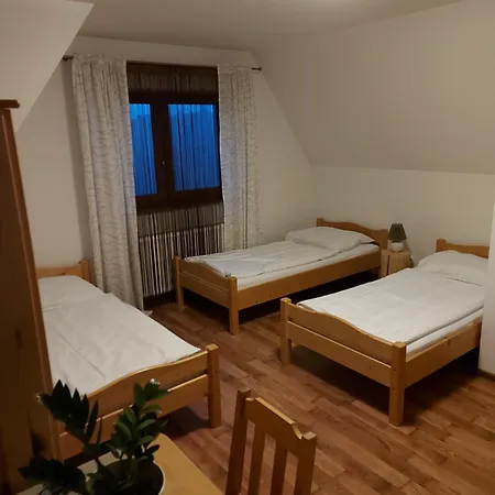 Casa de hóspedes Janicek 3*