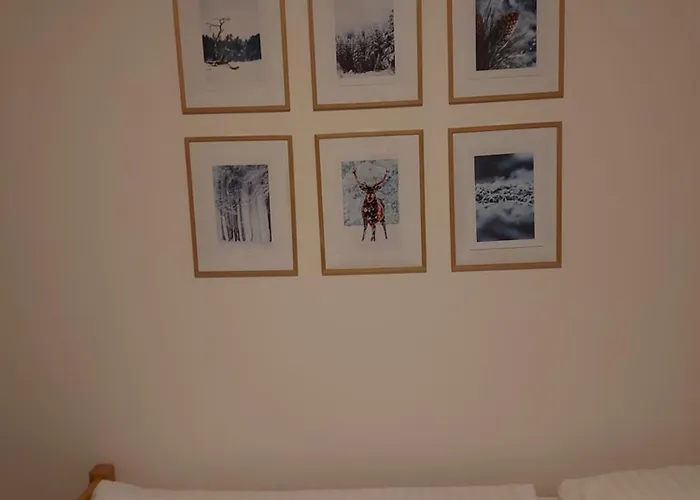 Janicek 게스트하우스